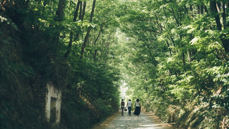 Three people walking along a tree-lined path in Poysdorf, Austria.