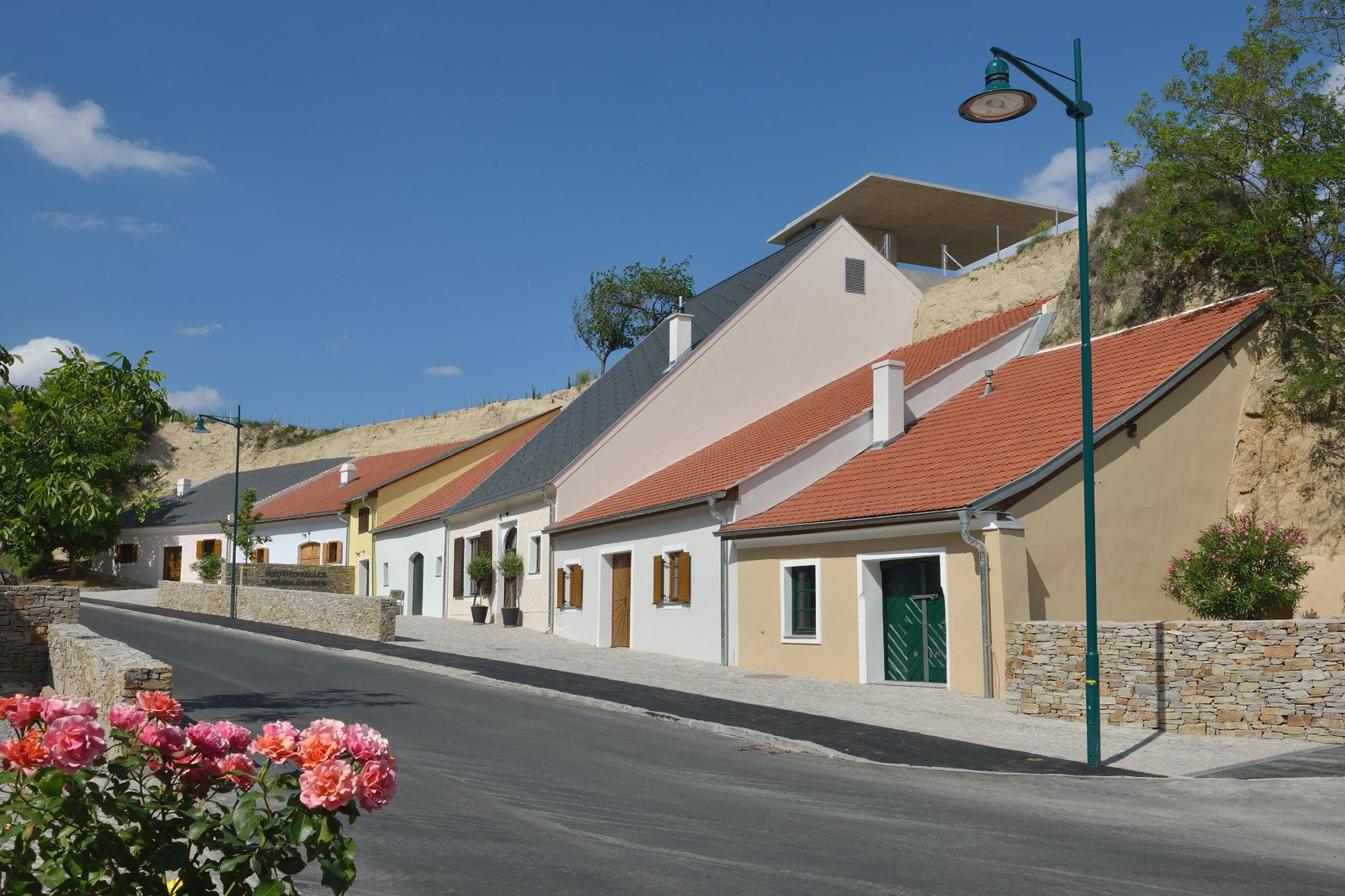 Row of colorful wine cellars in Krems, Austria, with blooming roses in the foreground.
