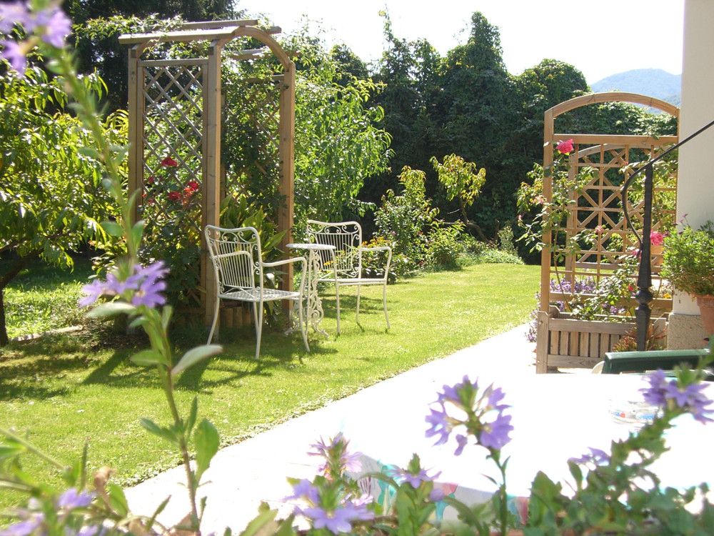 A sunny garden with white metal chairs, a table and flowering plants.