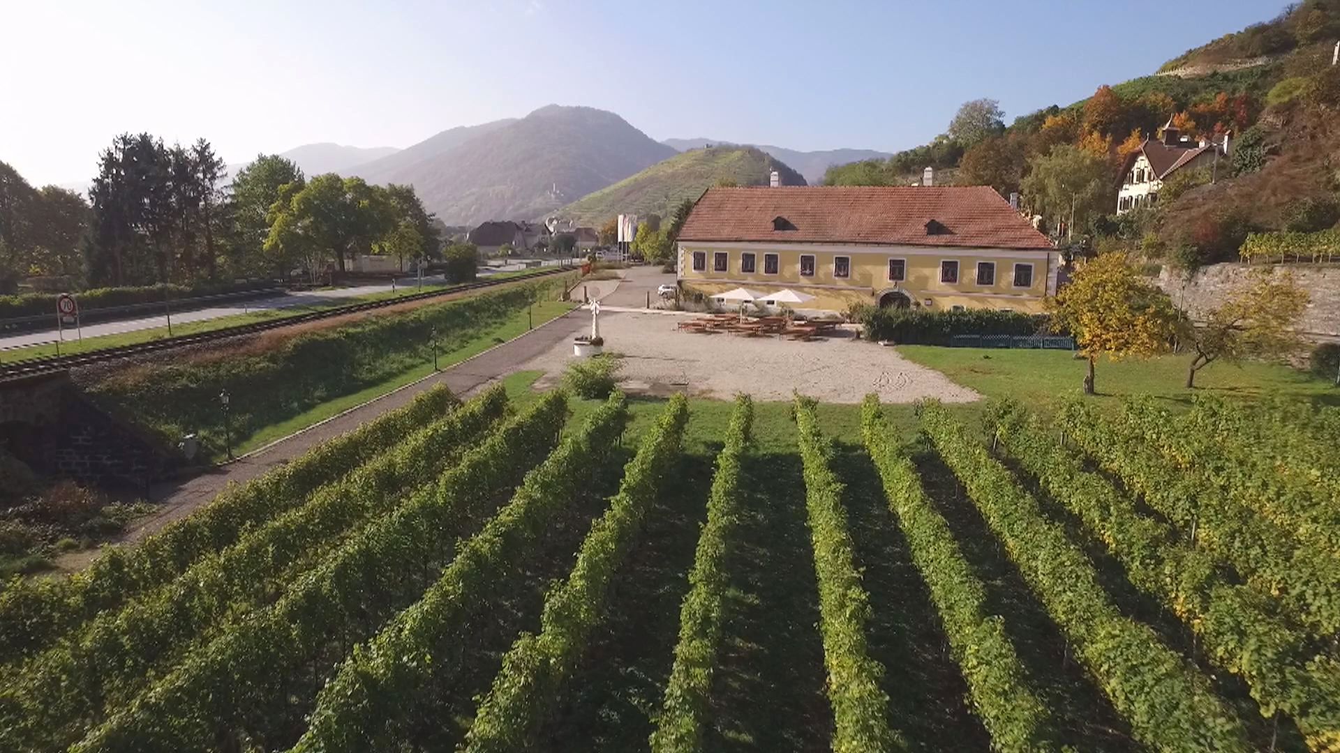 Vineyards in front of a yellow building with a red roof, surrounded by hills and trees.