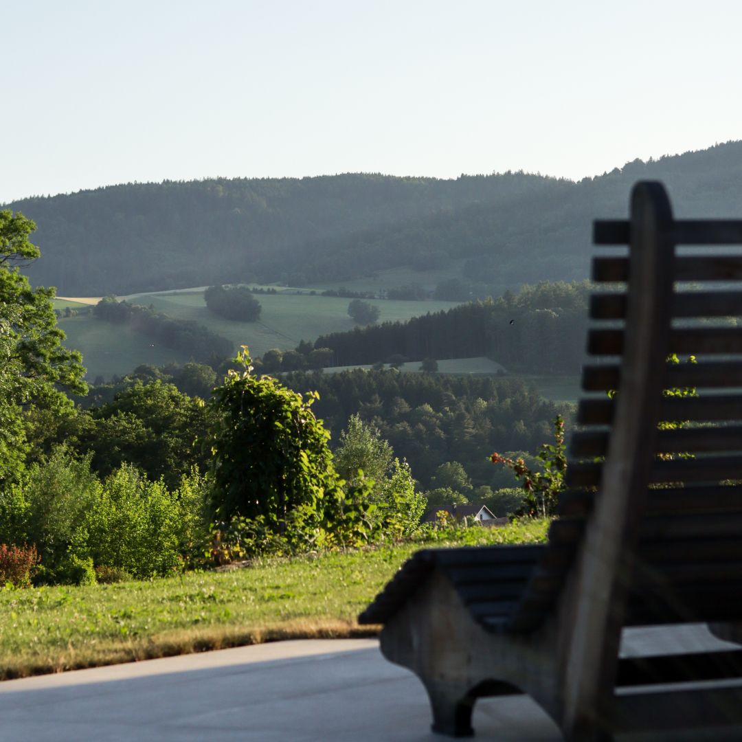 Wooden bench with a view of the hilly landscape and trees in the background.