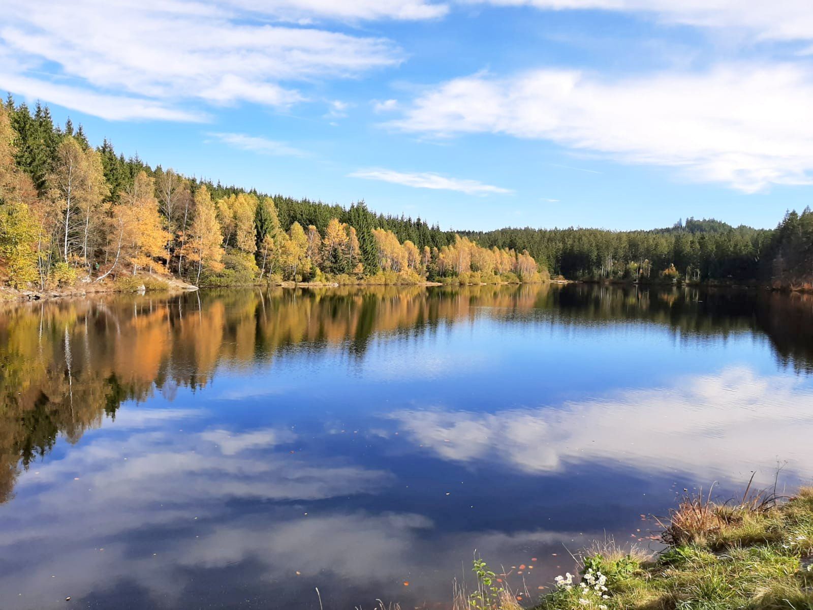 Schlesinger pond