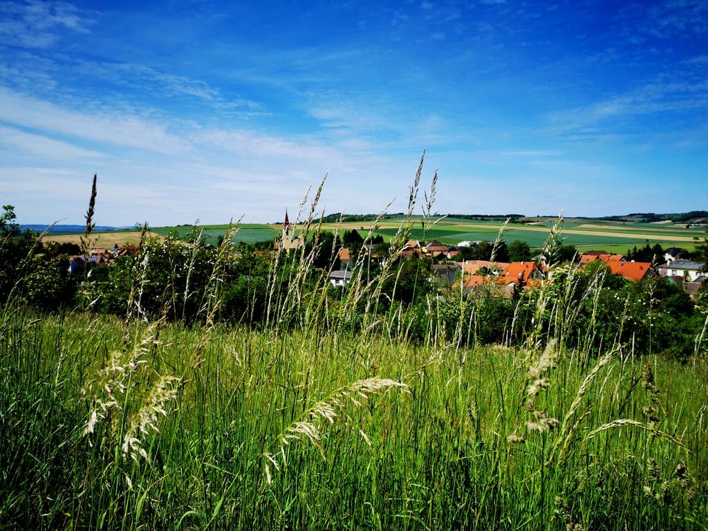 Landscape with meadow, village and hills in the background under a blue sky.