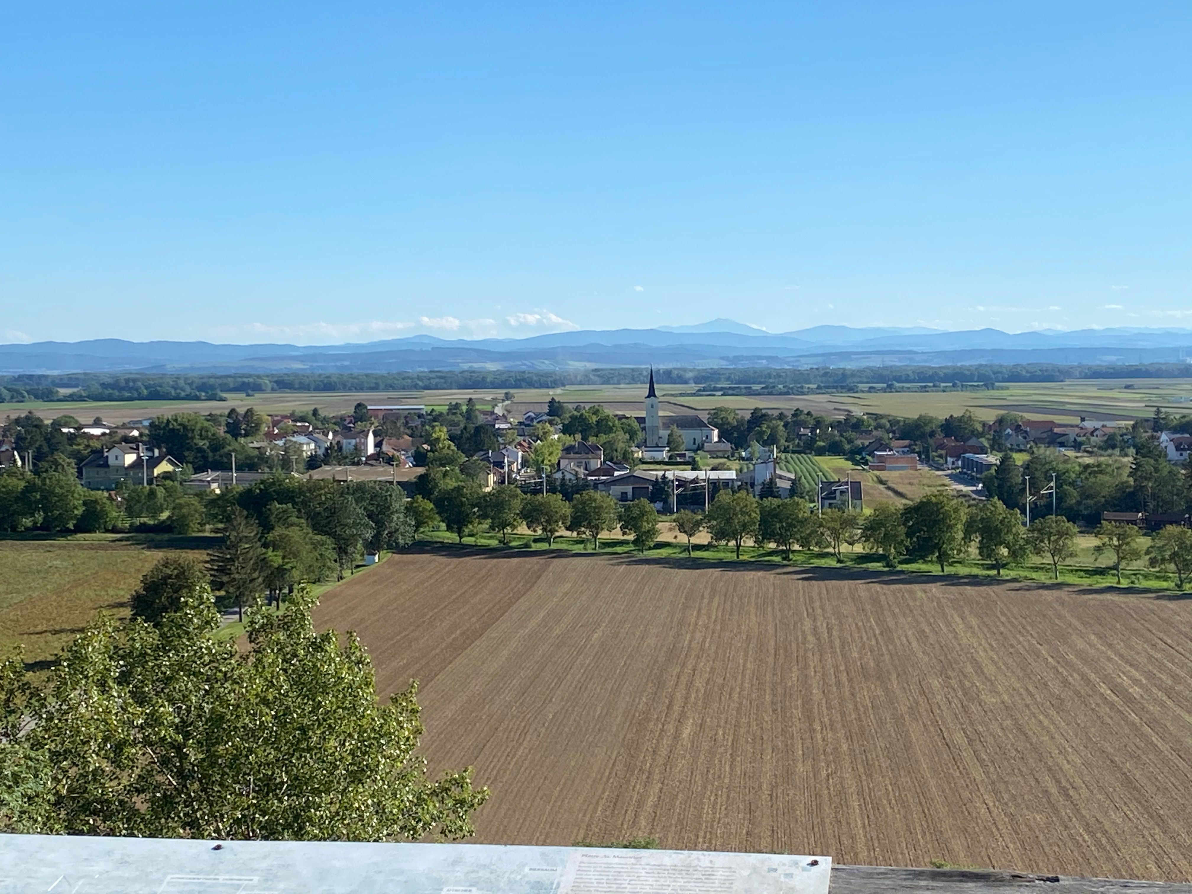 View from a wooden viewing platform over vineyards and rolling hills around Absdorf; wide landscape and clear views.