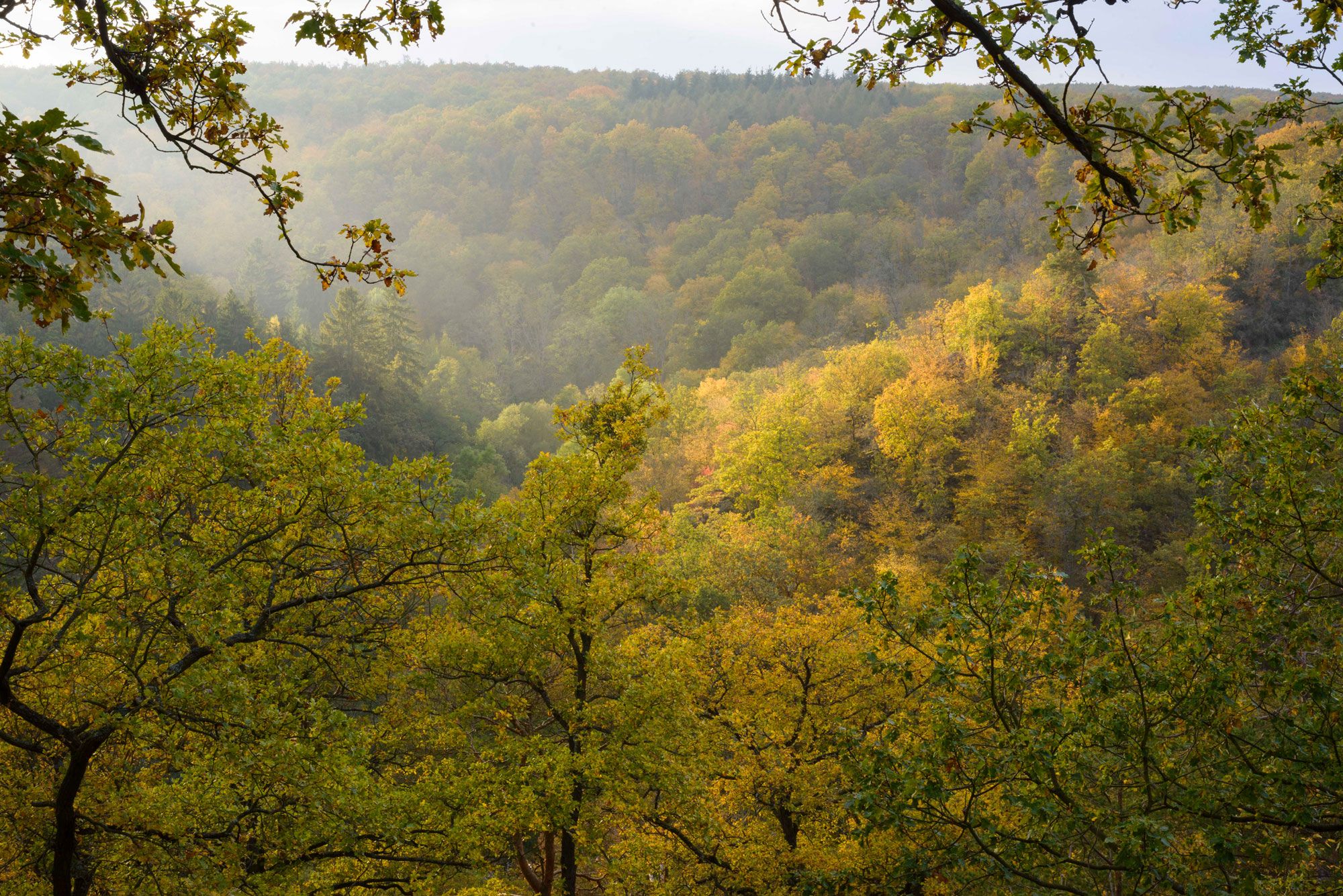 Autumn landscape in the Pulkau valley with colorful foliage
