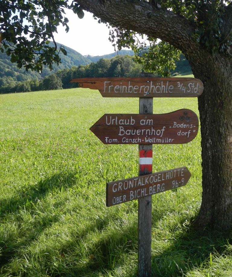 Signpost to the Freinberg cave and other destinations in a meadow.