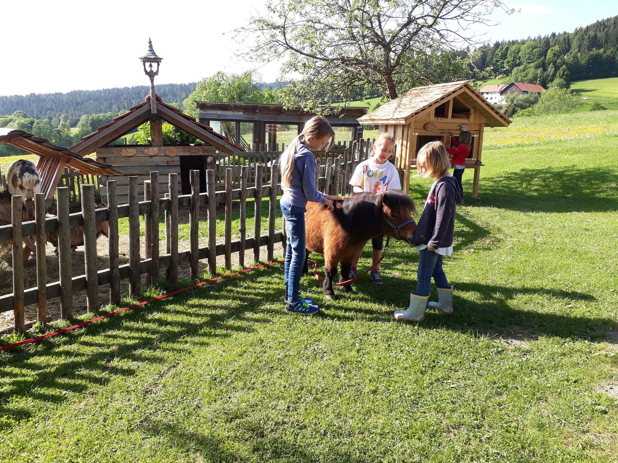 Children stroking a pony in a meadow next to a wooden fence.