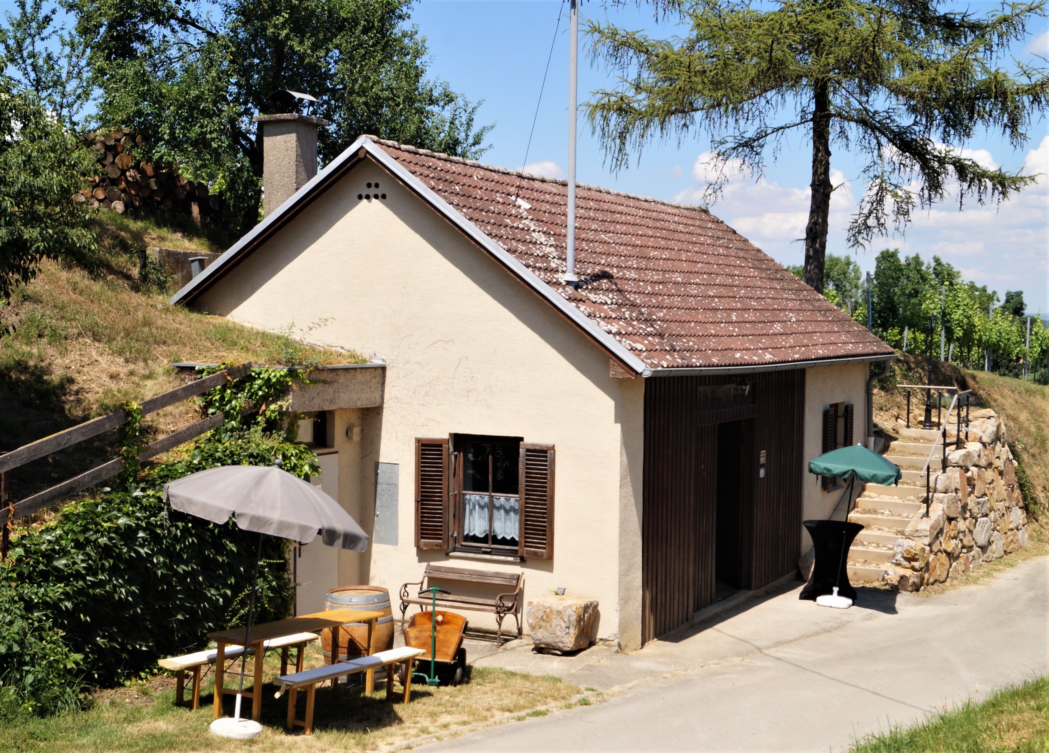 Small press house with wooden table and parasol in front, surrounded by trees and vineyards.