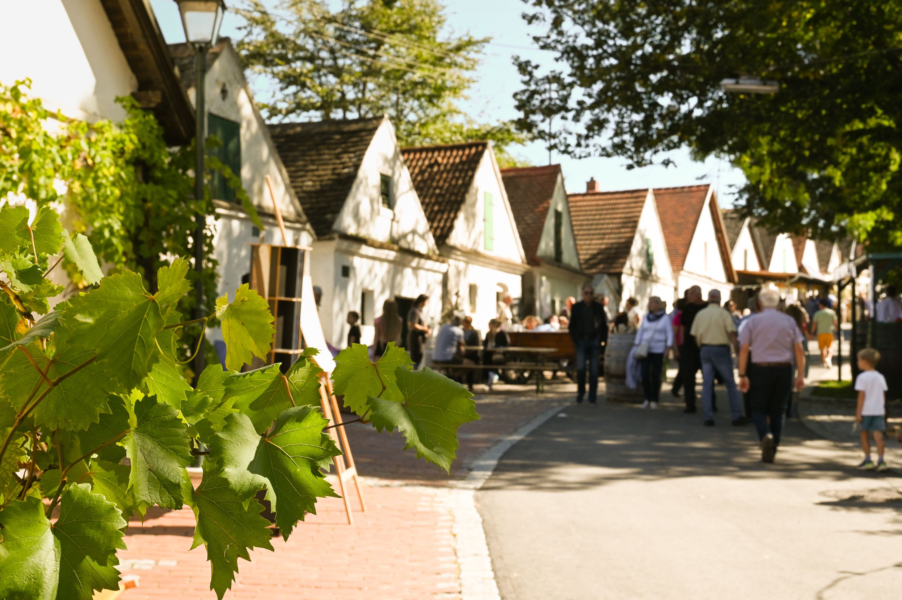 People stroll through a picturesque alleyway with white houses and vines in the foreground.