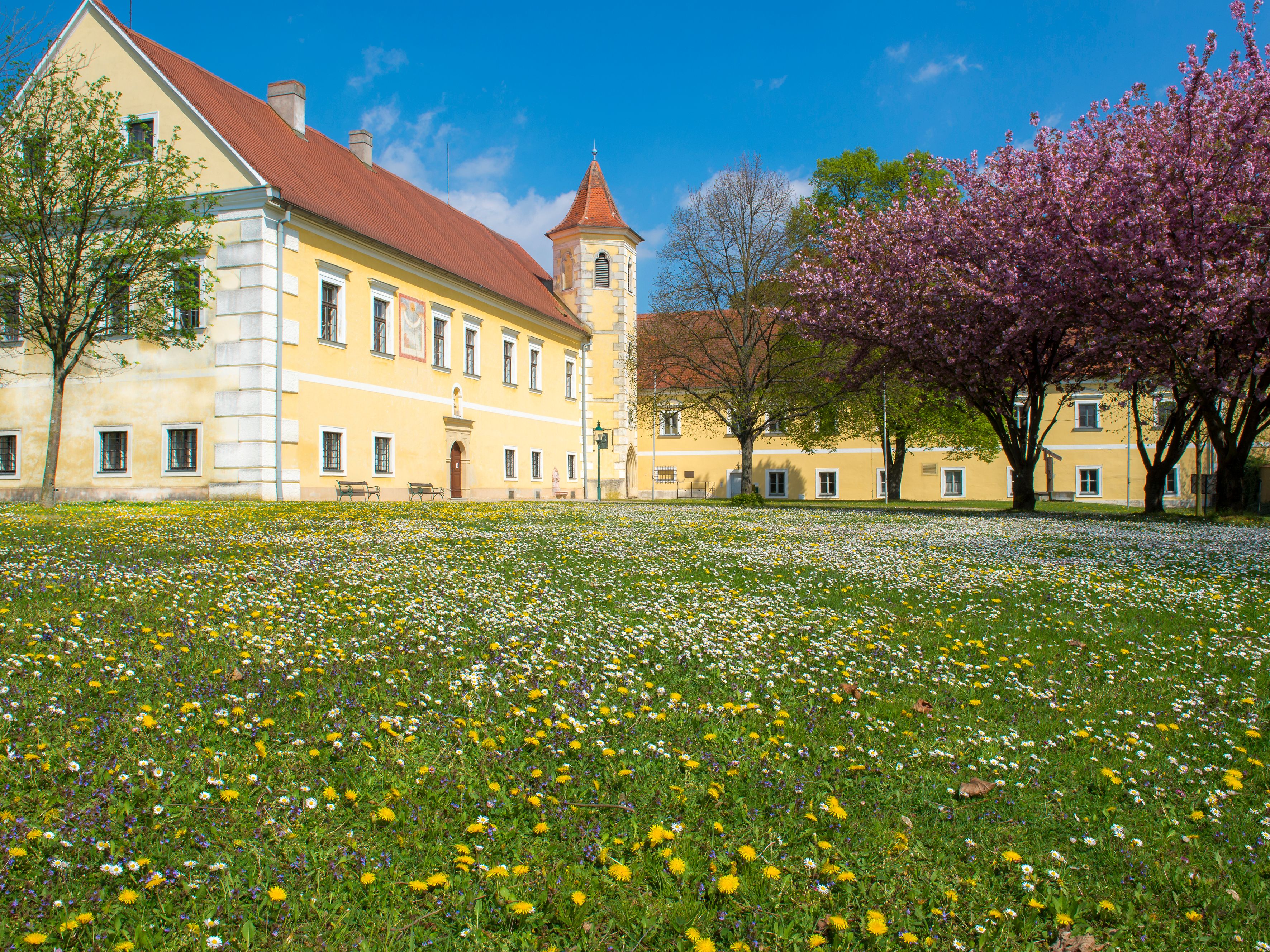 Atzenbrugg Castle with blossoming trees and meadow in the foreground.