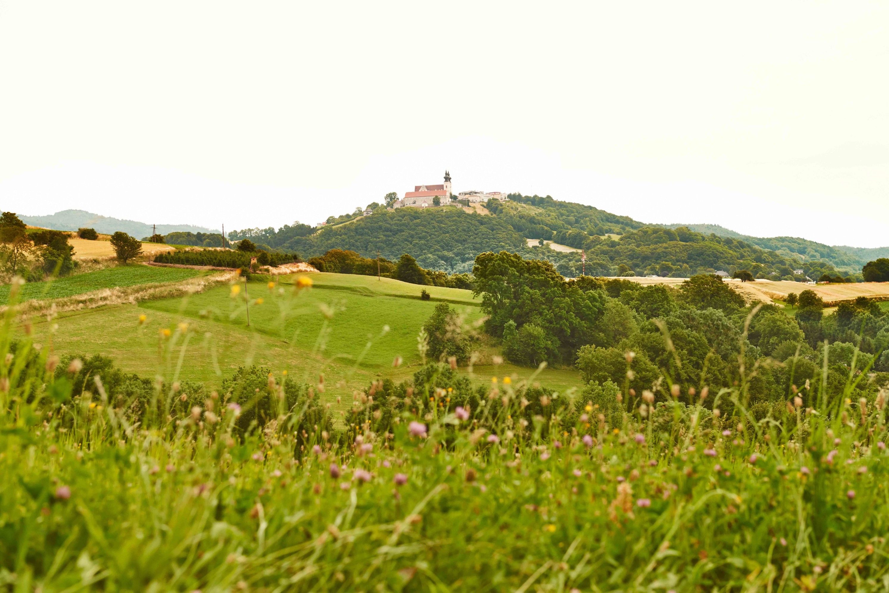 Landscape with hill and church in the background, surrounded by green fields and trees.