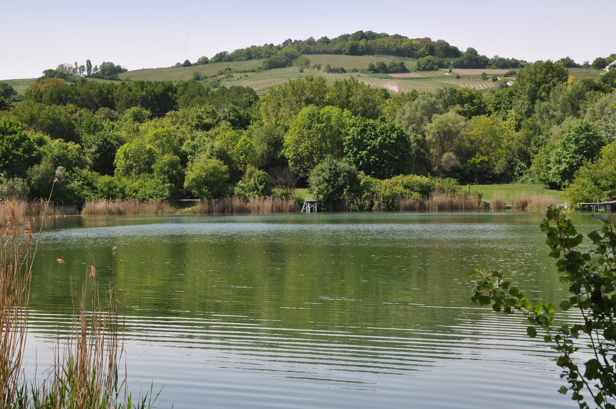 Winrad pond
