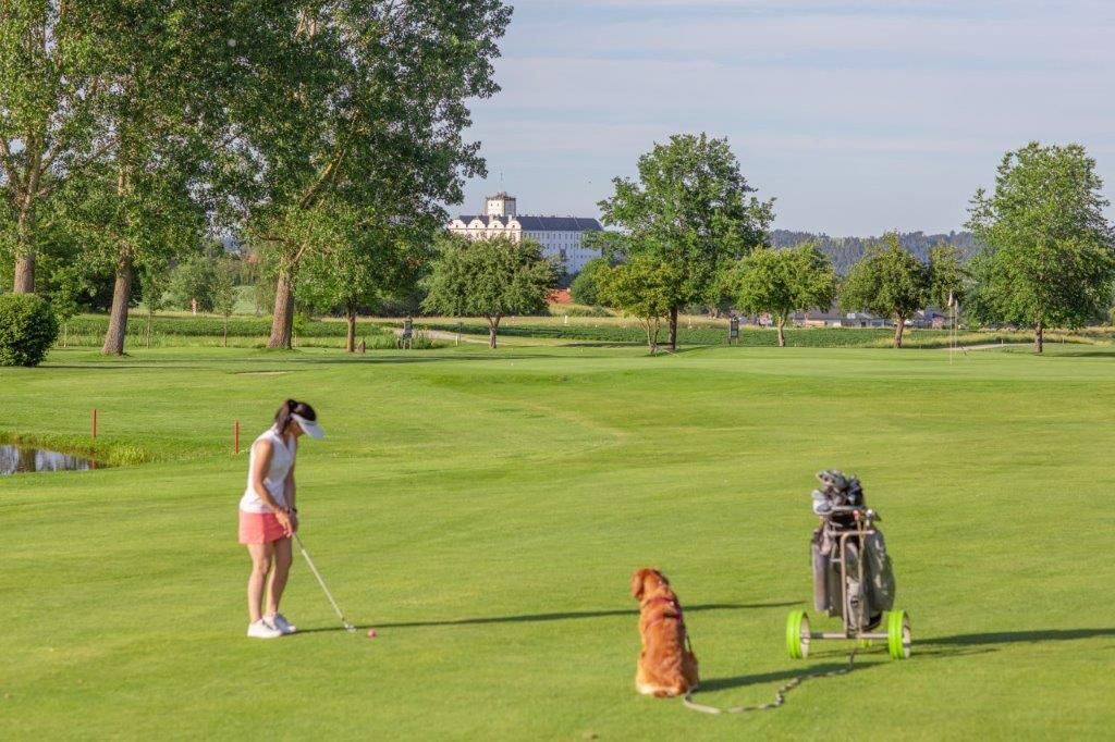 Golfer with dog on a green golf course, trees and buildings in the background.