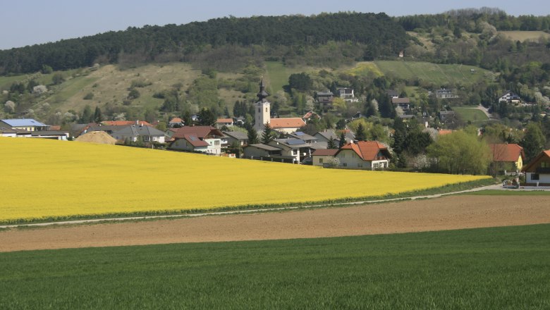 Landscape with yellow rape field, village and wooded hills in the background.
