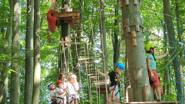Purkersdorf climbing park, © Kletterpark Purkersdorf