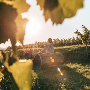 Wine Autumn, Kamptal, © Romeo Felsenreich