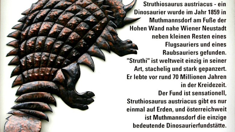 Relief of an armored dinosaur with text about the Struthiosaurus austriacus.