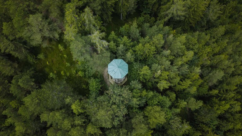 Aerial view of a lookout point in the forest.