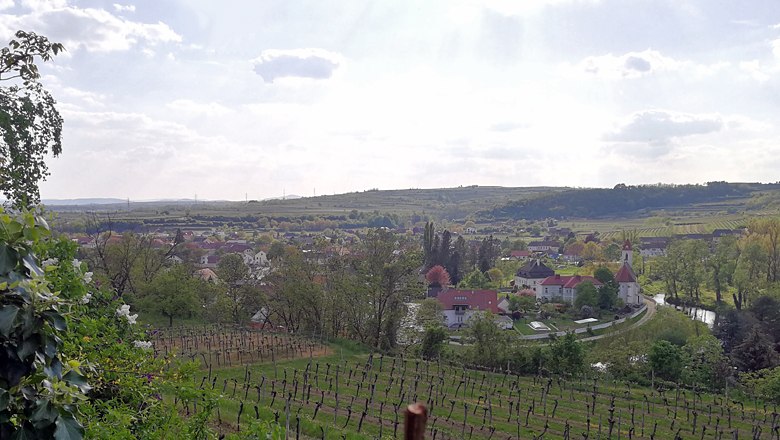 View of Z&ouml;bing with vineyards and church in the foreground.