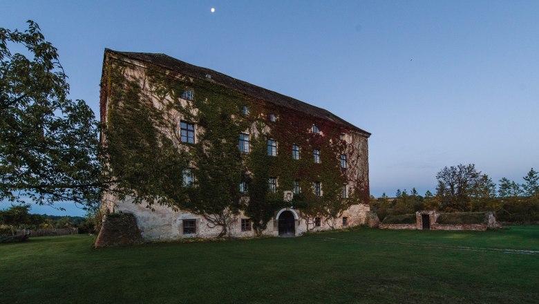 Facade, © FelixHohagen Old building overgrown with ivy, surrounded by meadow and trees, with moon in the sky at dusk.