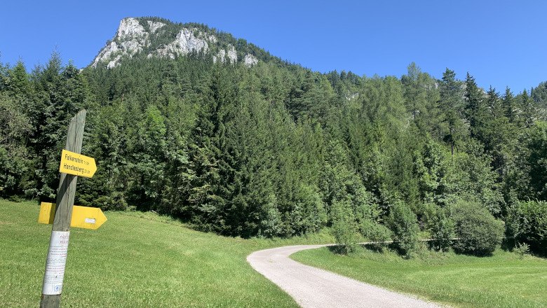 Hiking trail in Falkenstein Nature Park with signpost and mountain in the background.