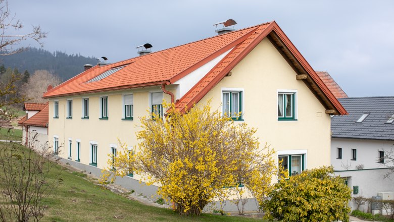 Yellow house with red roof and flowering shrub in the foreground.
