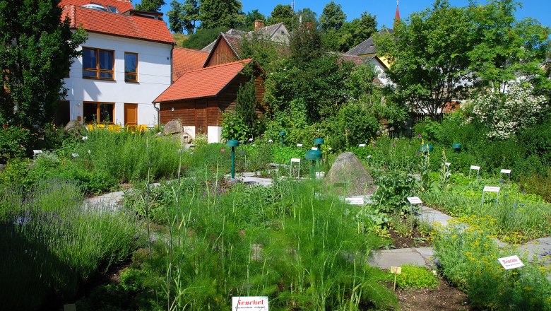 Herb garden with signs and buildings in the background.