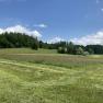 Green meadow with forest in the background and blue sky.