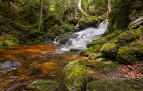 Clear water of the Ysper flows over stones in the shady section of the Ysper Gorge
