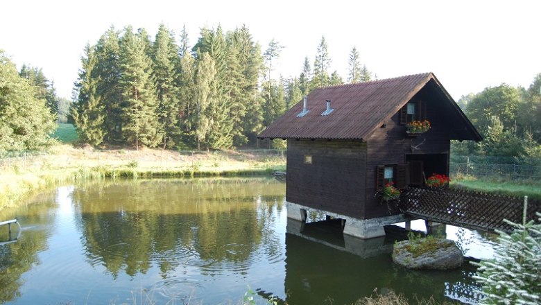 A small wooden house stands on stilts in a pond, surrounded by trees and nature.