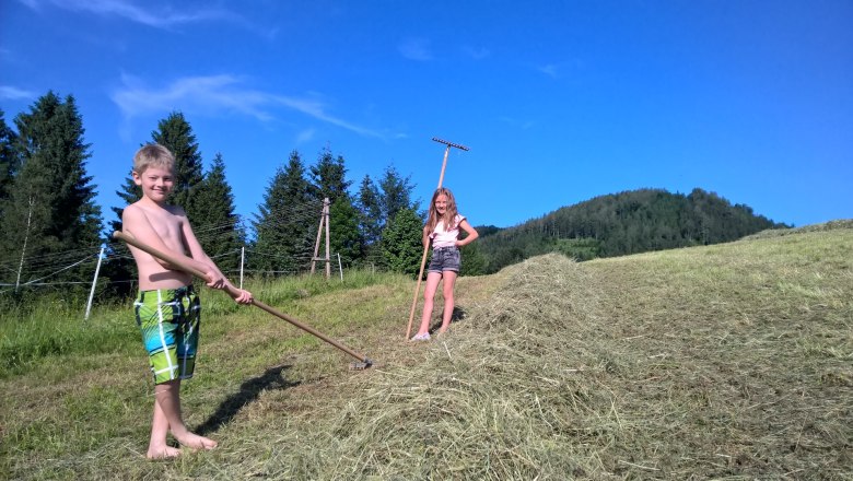 Hay harvest at the Schlögelhofers, © Heike und Arthur Schlögelhofer