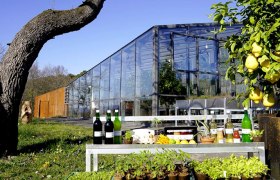 Products on a table in front of a modern greenhouse with trees and plants in the foreground.