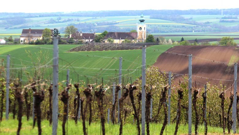 View of the church, &copy; Gemeinde Velm-G&ouml;tzendorf