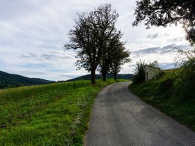 Weg nach P&ouml;ggstall, &copy; Unknown