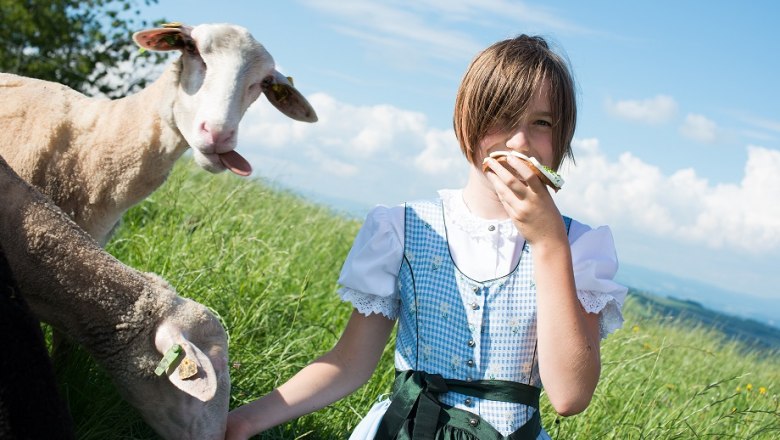 Franzenreith farmhouse, &copy; dphoto.at