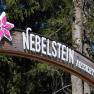 Wooden sign with the inscription 'Nebelstein Aussicht auf mehr!' and a pink flower surrounded by trees.