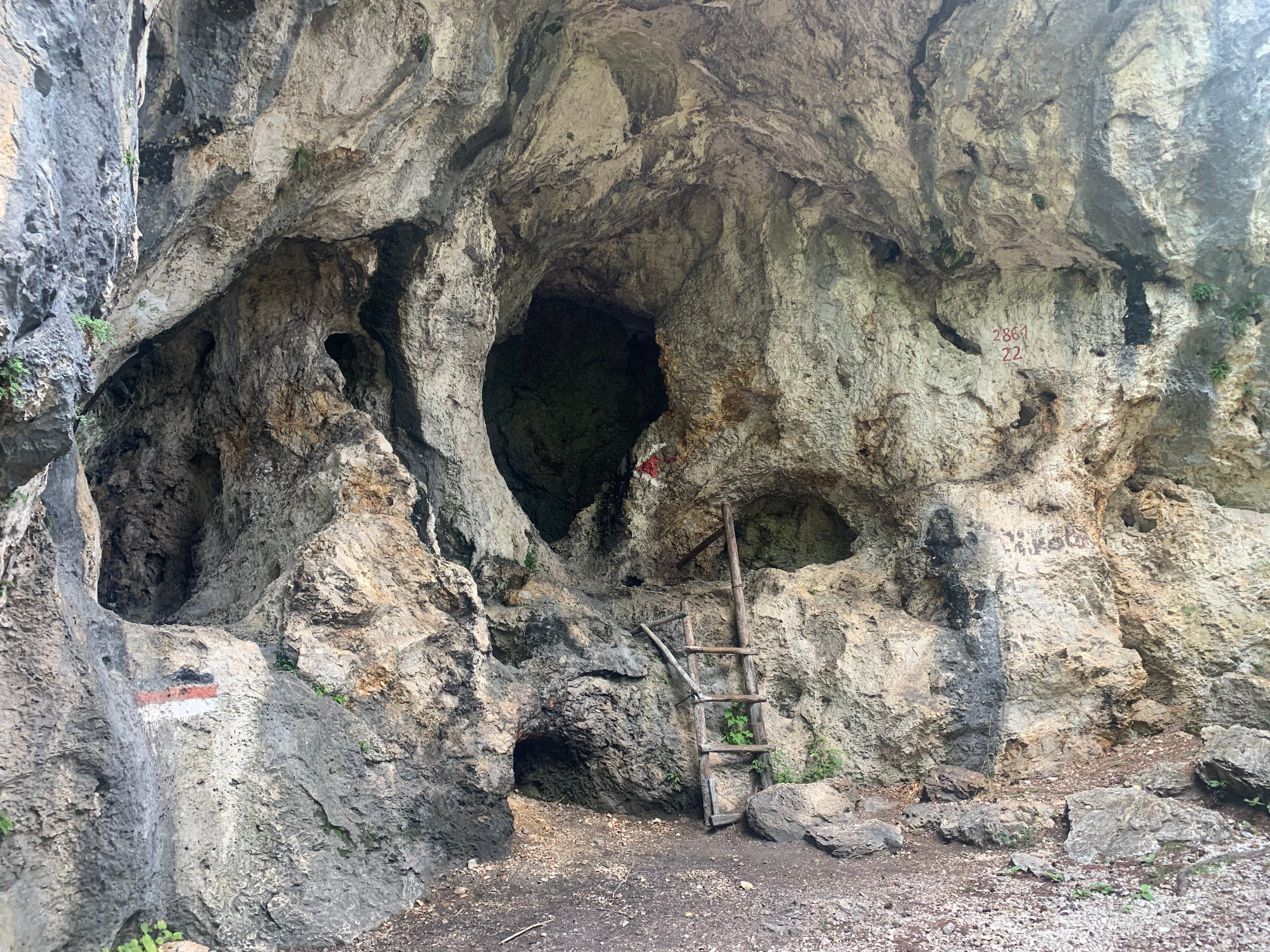 Rock face with holes and a wooden ladder.