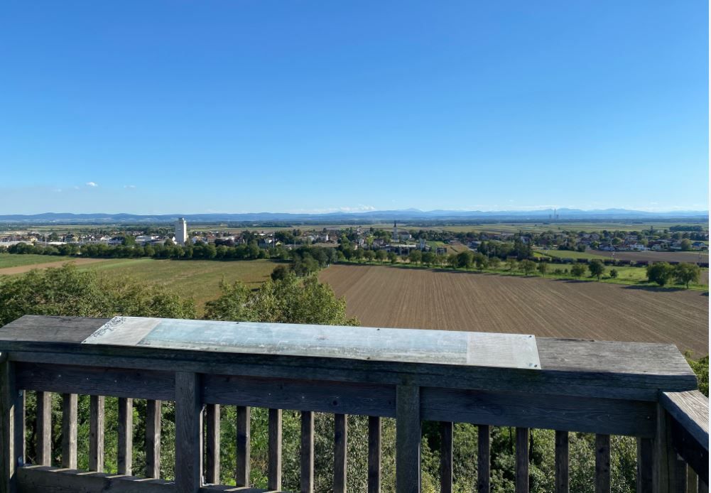 Viewing platform with wooden walkway and railing, view over the landscape of the Wagram with rolling hills and vineyards.