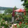 A blooming garden with red and pink roses, a table with chairs and a red parasol with the Coca-Cola logo, with a lake in the background.