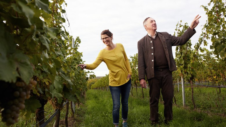 Two people in the vineyard, a woman in a yellow sweater and a man in a jacket, point to grapevines.
