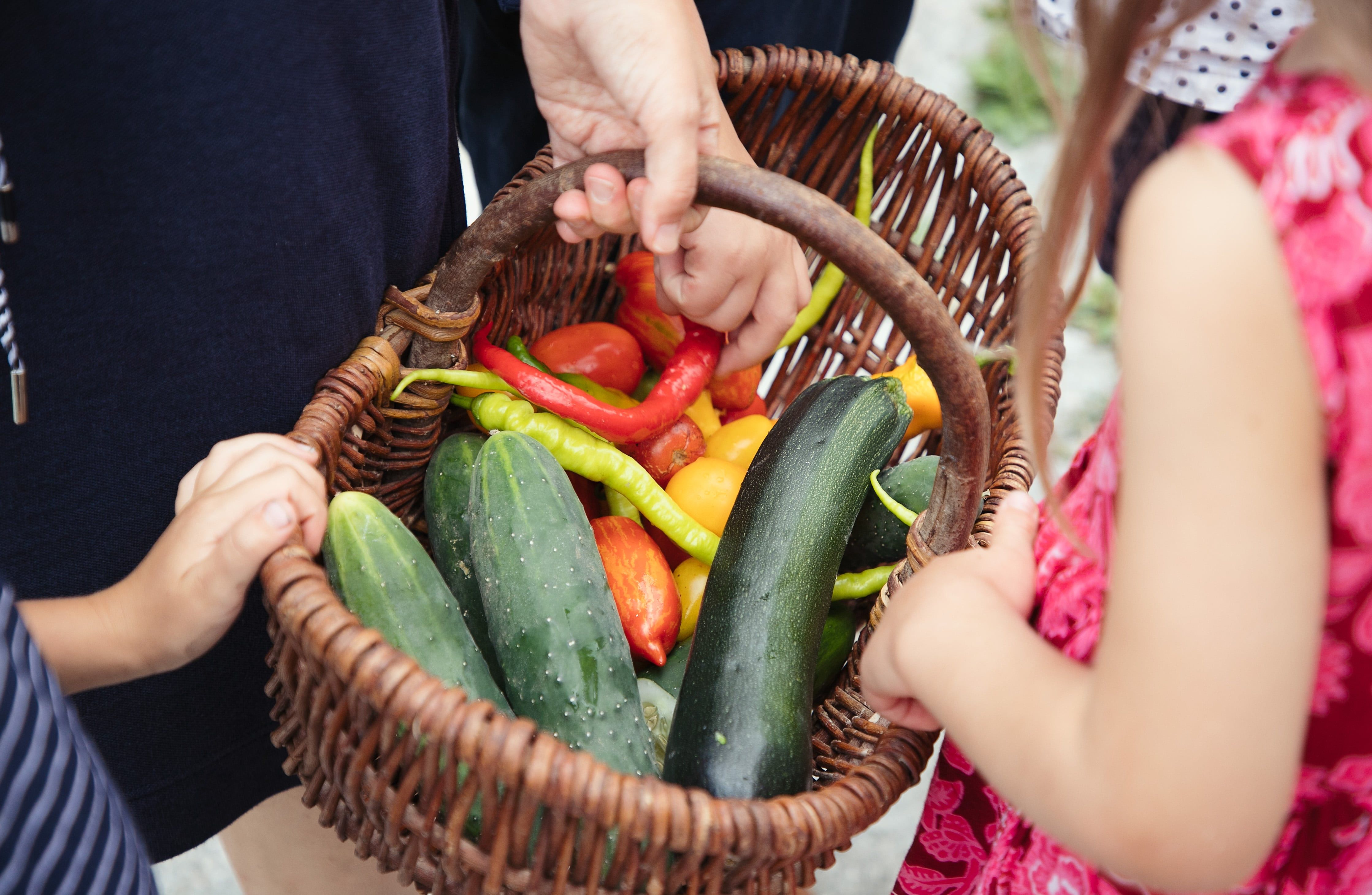 A basket full of fresh vegetables, held by several hands.