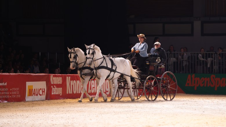 Carriage by the lime trees, &copy; Sonja H&ouml;gler