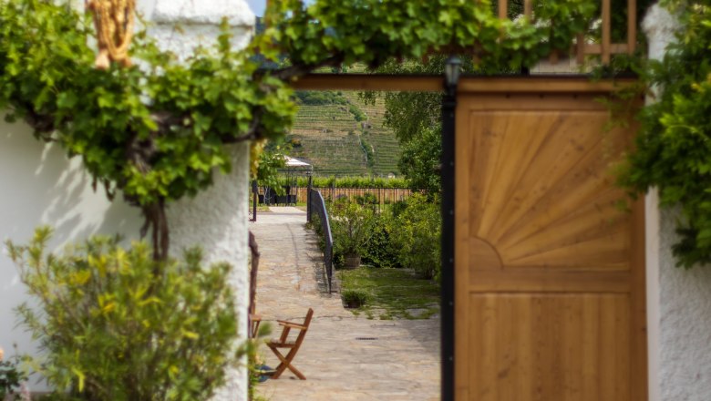 Welcome to Weinhauer Brustbauer, &copy; Florian Lechner