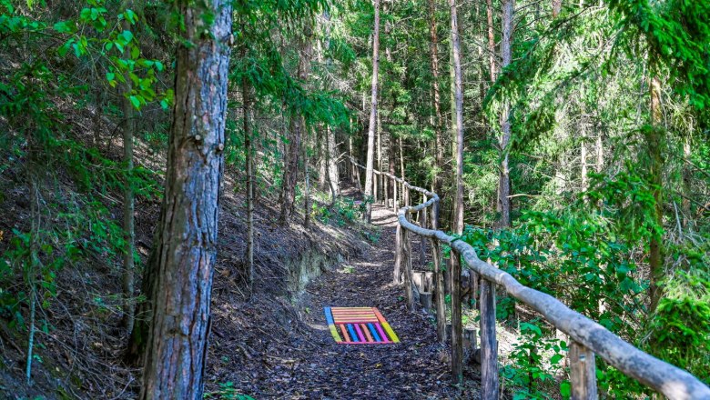 Healing forest Senftenberg, © Nuhr Medical Center