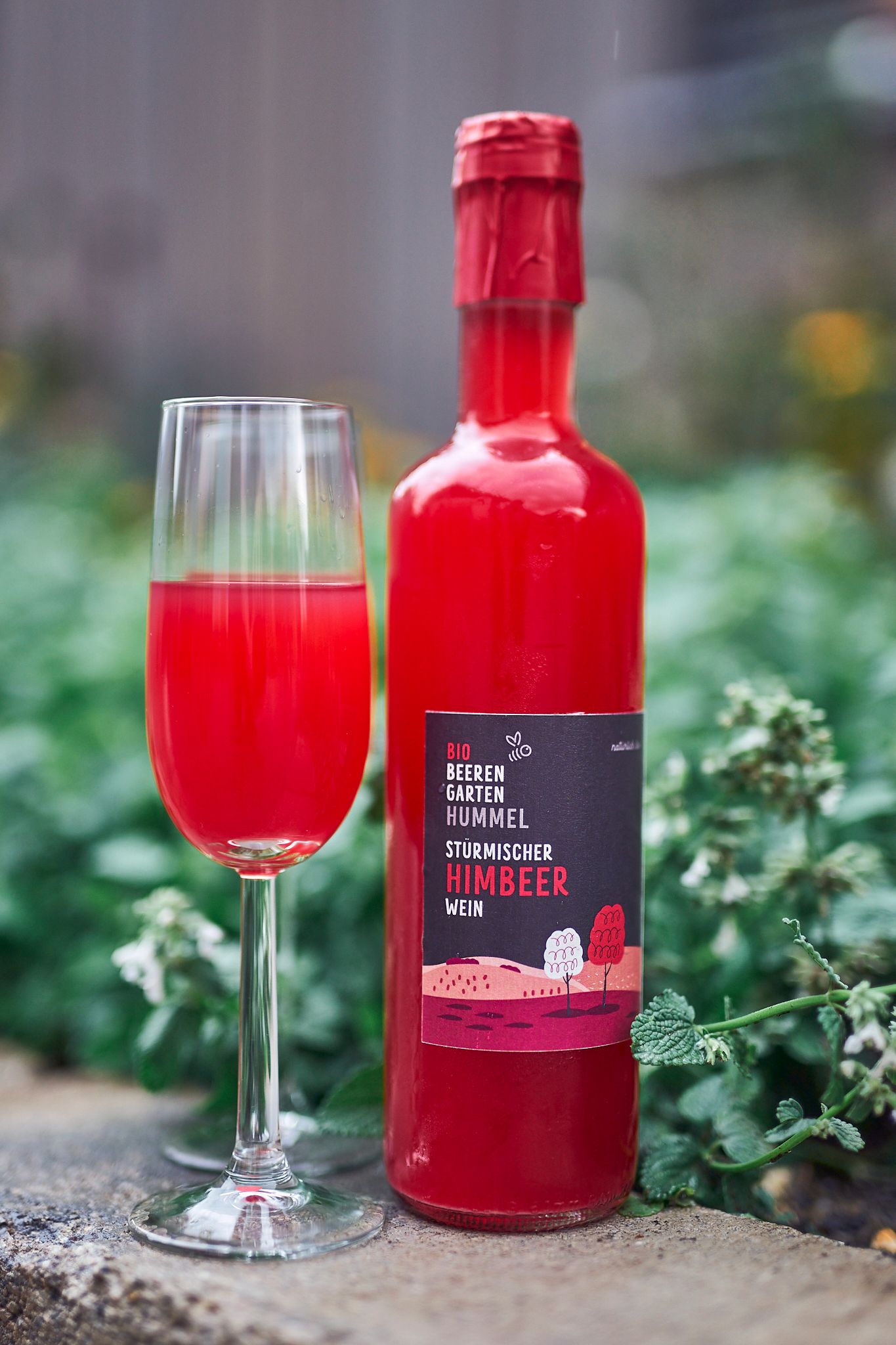 A bottle and a glass of red raspberry wine against a blurred background.