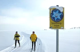 Two people cross-country skiing on the snow-covered Spielbergloipe in Bad Traunstein.