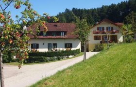 Two houses with red roofs in a green location surrounded by trees.