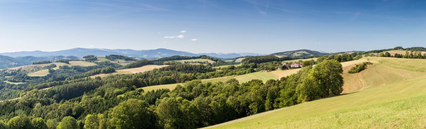 Baumgartnereck Kirchschlag