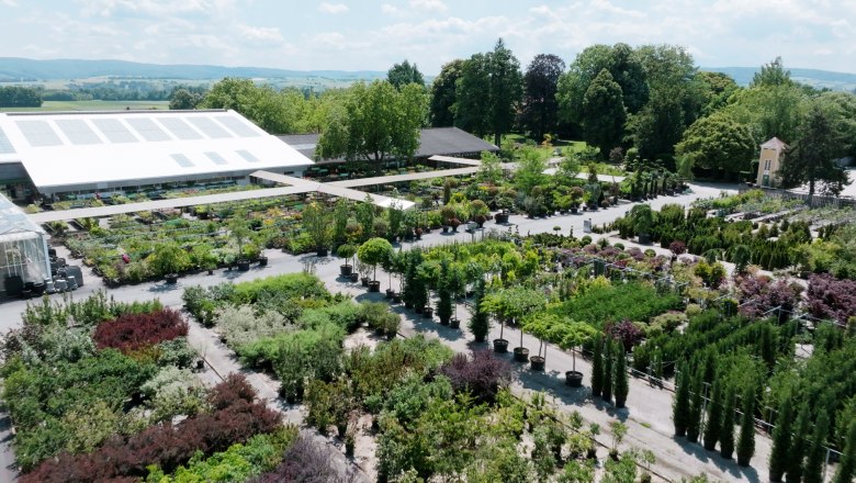 Aerial view of a large nursery with many plants and trees in pots, surrounded by a green landscape.