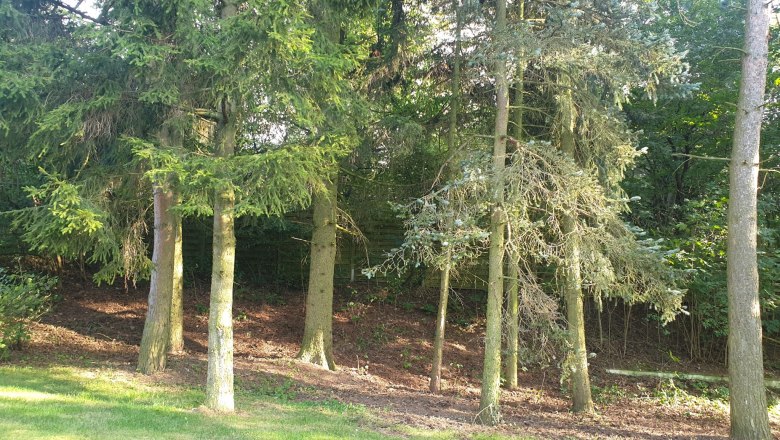 Garden, &copy; Fam. Schmid